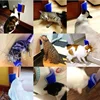 Pet Products Brush Corner Cat Massage Self Groomer Comb Brush With Catnip For Cats dogs