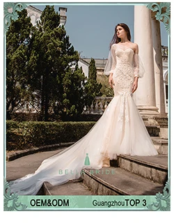 Shiny pakistani bridal dresses long sleeve modern nice wedding dresses fish cut bride dress