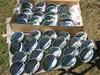 beauty green abalone/paua MOP shell supplier
