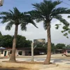 3m 4m 5m height artificial palm tree dedicated to real estate engineering