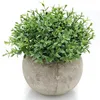 House Mini Plastic Artificial Plant potted faux small green potted plant gnats lifelike fejka Grass ideas