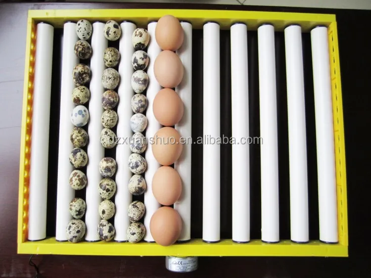 rooling egg tray.jpg
