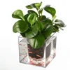 Home Decorative Desktop Balcony Flower Pots Self Watering 2 in 1 Crystal Cube Fish Tank Planters