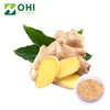 Yellow Ginger Crystallized Powder for Ginger Extract Cream