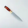 Common Use 8-inch Factory Forged Steel Knife With Brass Bolster Design