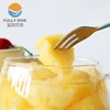 Fresh pineapple in Light Syrup in can with good price canned fruit