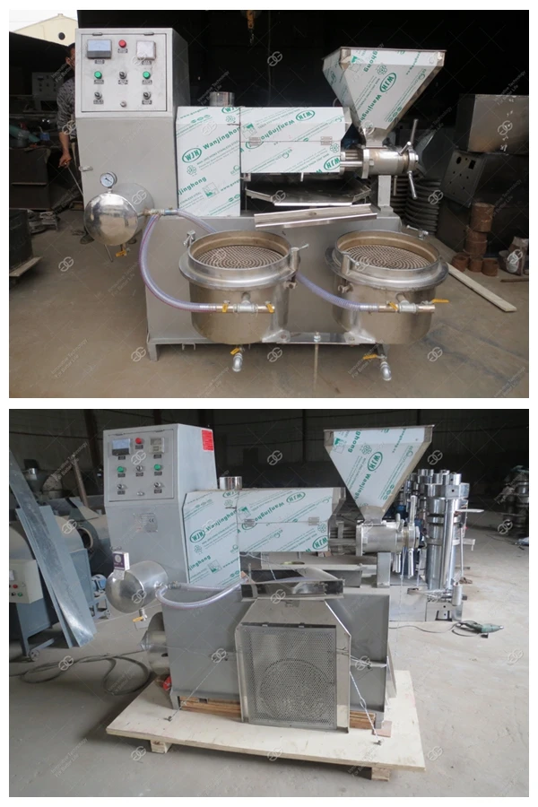 Automatic Cashew Nut Shell Moringa Peanut Oil Extraction Machine Palm