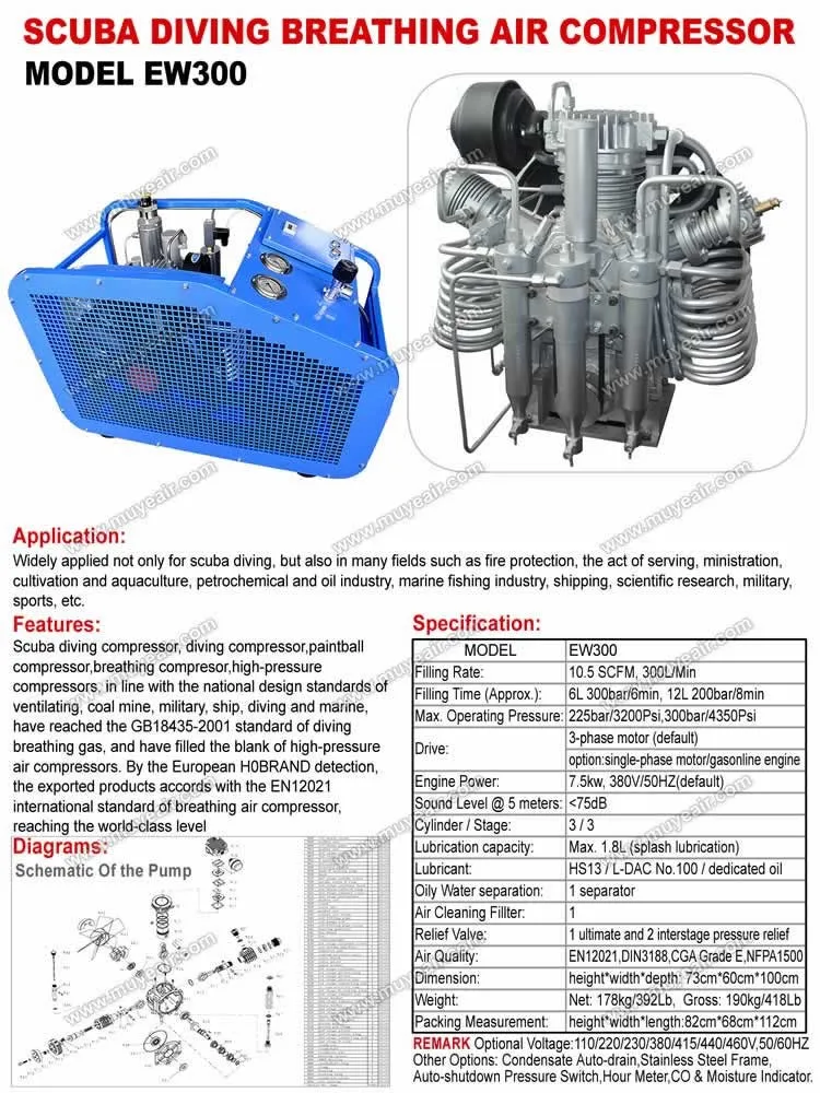 300 л мин. Компрессор High Power. Компрессор воздушный 300 л/мин. Компрессор Посейдон 300 бар идишион на 4 заправочных крана. 4500 Psi 300 Bar Air Compressor схема сборки.