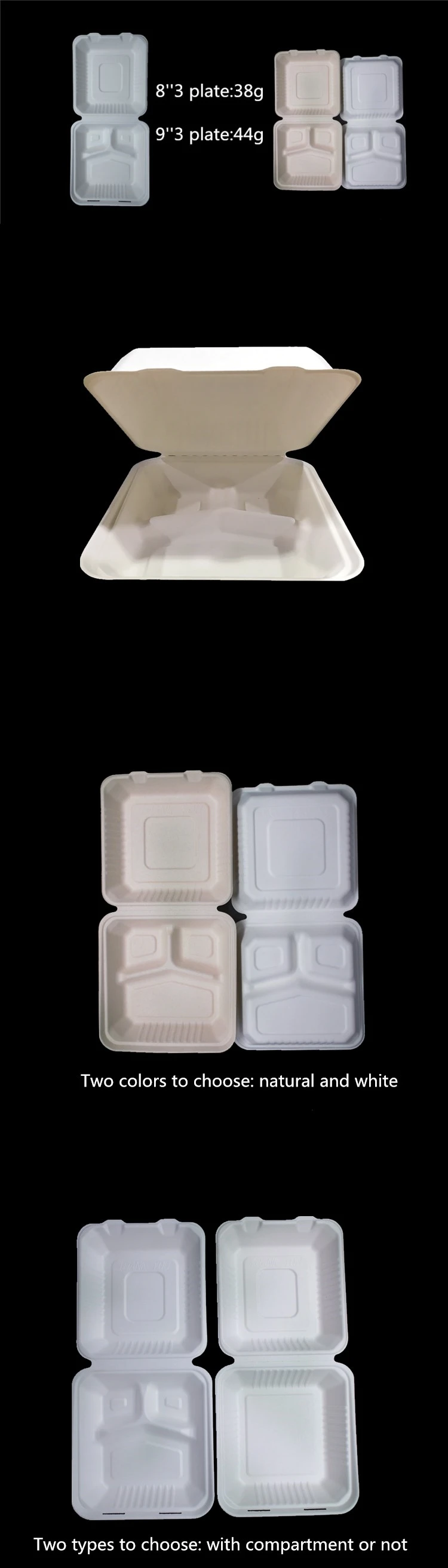 biodegradable lunch box