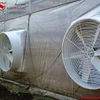 /product-detail/hanhong-fiberglass-whb-850-7-647-cfm-36-inch-pvc-air-extractor-for-poultry-house-greenhouse-60814499309.html