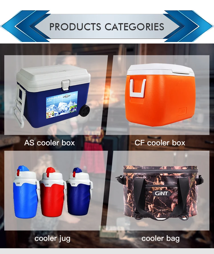 Gint 50l Litre Castrol Ice Eps Foam Cooler Box Chill Chest Buy