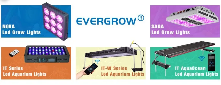 led aquarium light