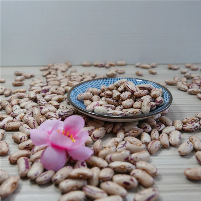 2020 New natural crop light kidney bean/sugar bean for good