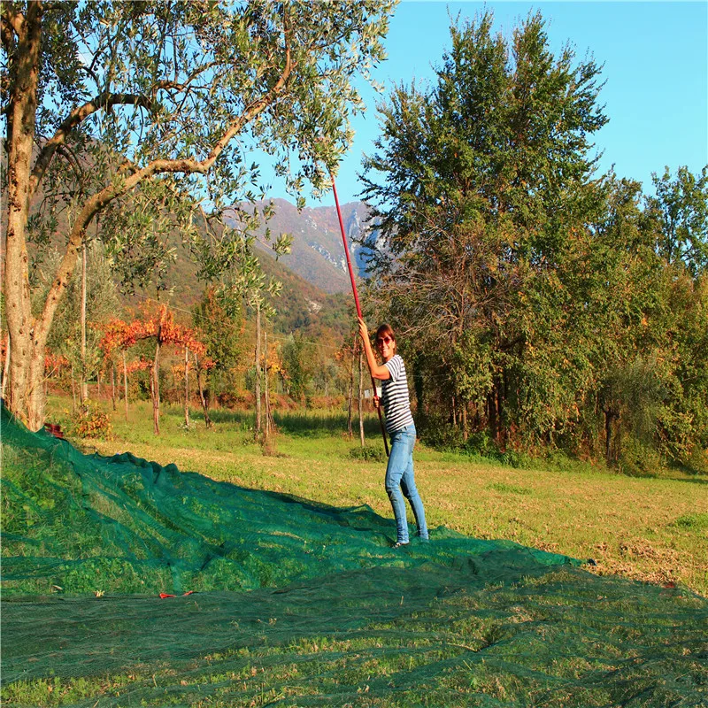 Olive Tree Collect Machine Olive Harvest Umbrella Olive Harvest Net