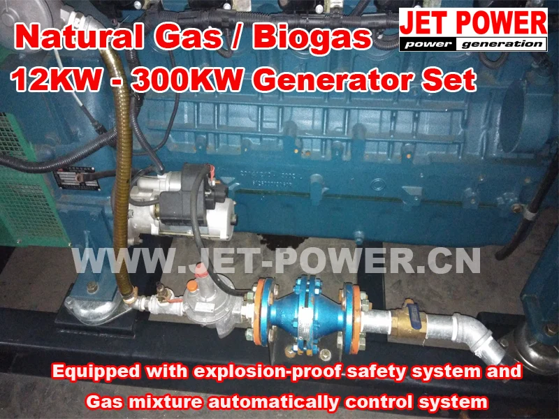 Natural Gas  Biogas Generator Set 12KW to 300KW -009.jpg