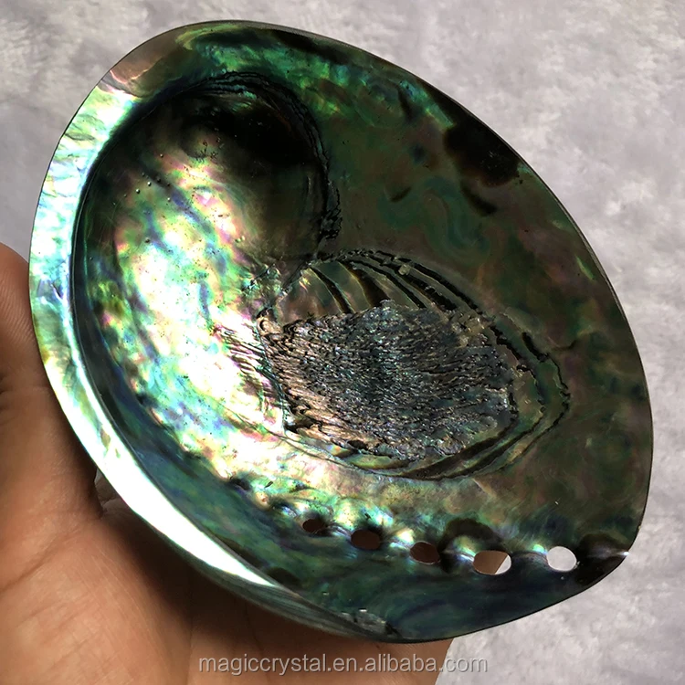 Polished Natural Abalone Shell Flashy Large Abalone Shells Wholesale