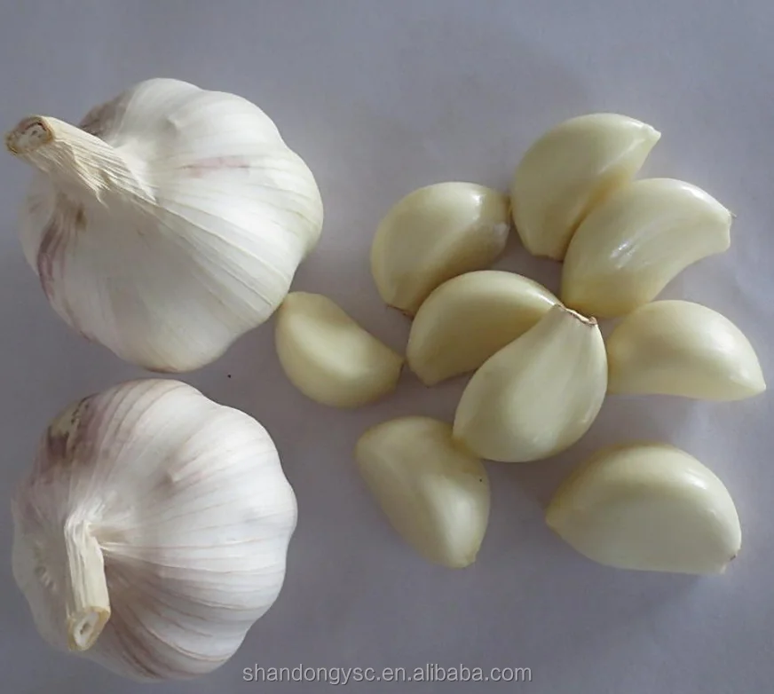 Frozen Garlic Dices,IQF Garlic Dices,Frozen Diced Garlics,IQF