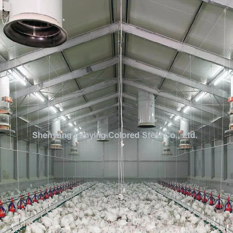Prefabricated Chicken House Low Cost Broiler Poultry Farm House Steel