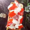 frozen squid surimi