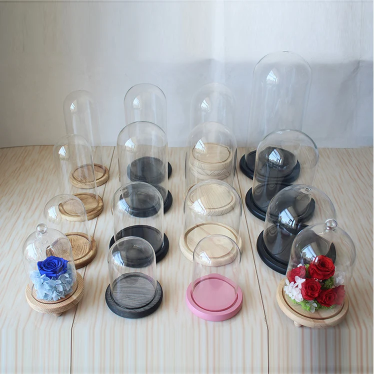 Blown Clear Glass Dome For House Decoration Customized Glass Display Bell Dome Cloche With Wood