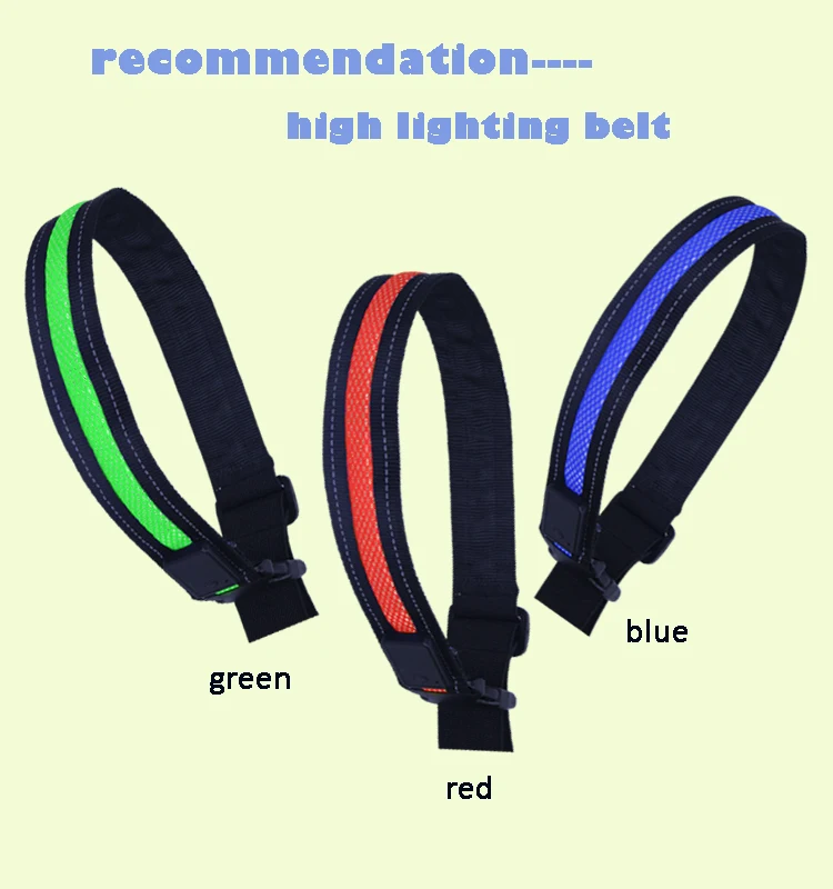 led belt13.jpg