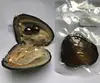 Vacuum Packaging Double Baroque Pearl Oyster Large Size 10-11mm Peacock Pearl Stock