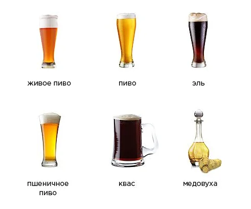 beer brewing equipment