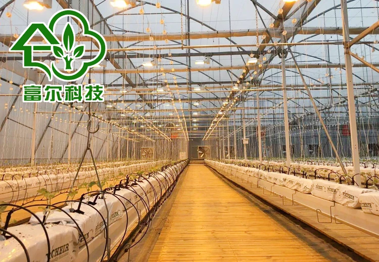 High Quality Polycarbonate Agricultural Gable Greenhouse 