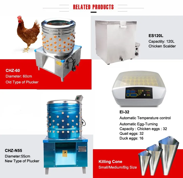 Related Products.jpg