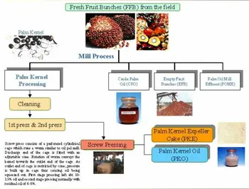 Palm Kernel Cake - Buy Pkc Product on Alibaba.com