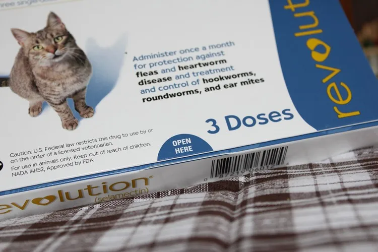 Zoetis Revolution Rx For Cats 8 Week Buy Revolution Rx For Cats