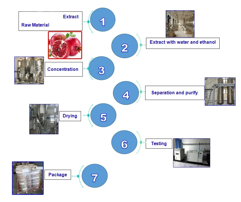 pomegranate peel extract