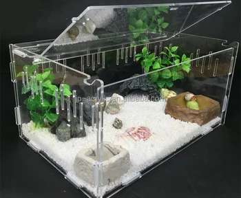 Clear Acrylic Display Box Testudo Spider Lizard Reptiles Terrarium ...