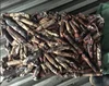 Hot sea products Hainan seafrozen block black squid 70-150g squid