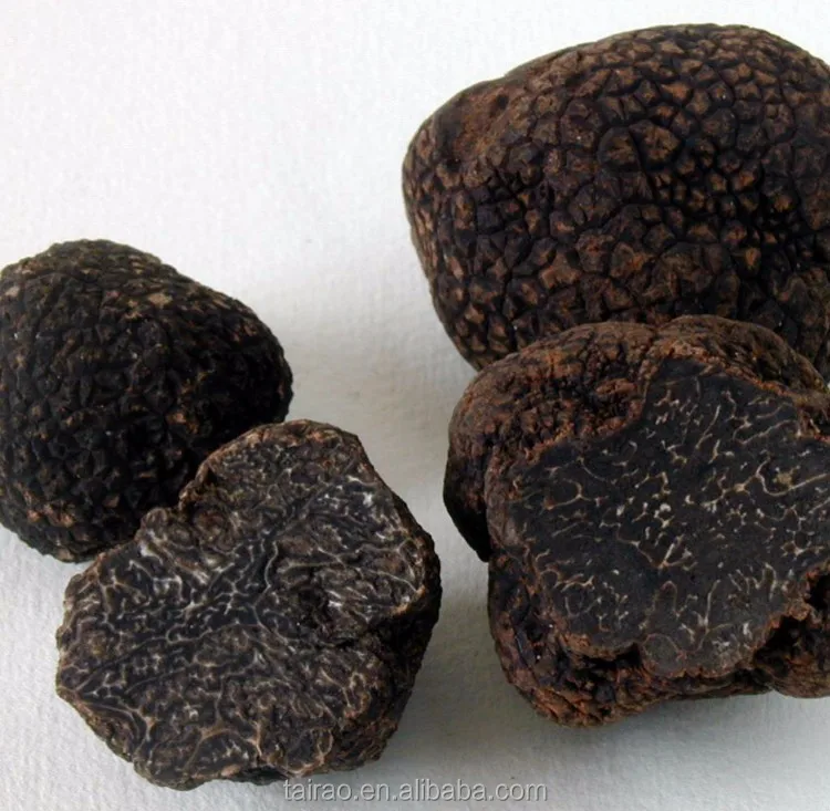 Chinese Truffle Price Wild Grow Best Quality Desert Truffle Elvan