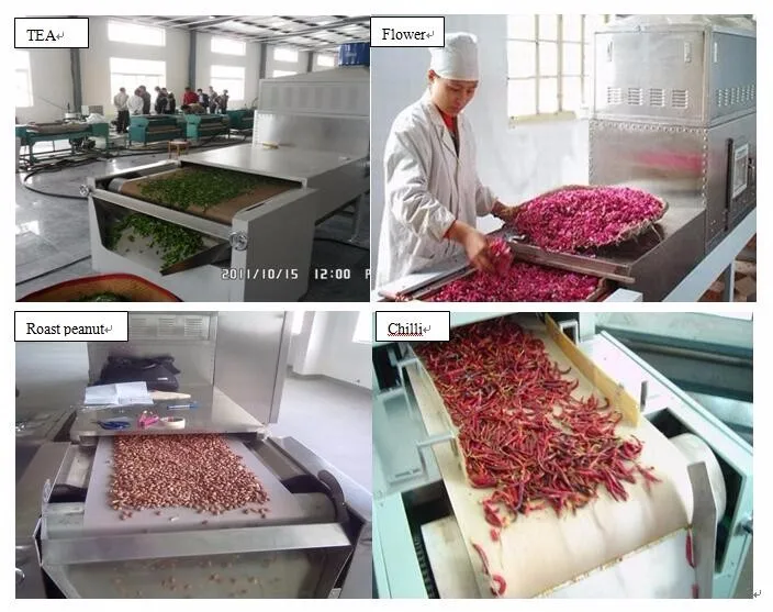 microwave herb leaves DRYER