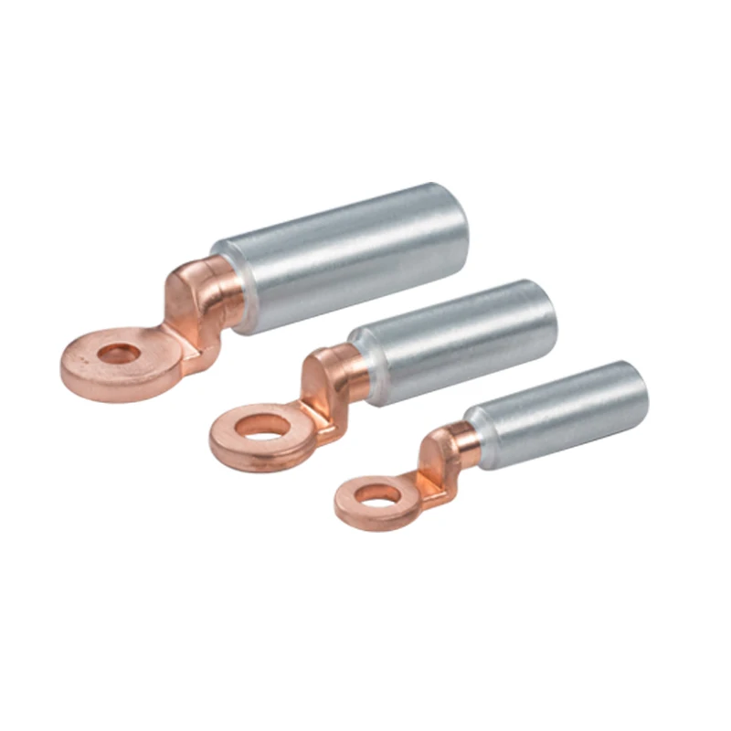 electric contactor and terminal