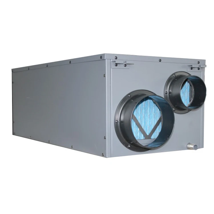 DXF-1200 Swimming Pool Dehumidifier Ceiling Dehumidifier
