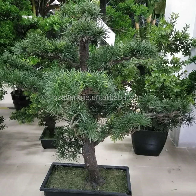 Sj Artificial Pine Bonsai Yacca Tree Plants Bonsai For Sale Buy Yacca Tree Plants Bonsai Bonsai Tree Plant Plastic Tree Artificial Pine Bonsai Yacca Tree Plants Bonsai For Sale Product On Alibaba Com