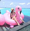 2018 New Pool Float Most Popular Big Capacity Adult Giant Inflatable Flamingo Water Float Bed big pool floats