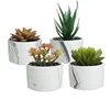 Amazon Best seller Mini Artificial Succulent Plants in Marbled Ceramic Planters, Set of 4