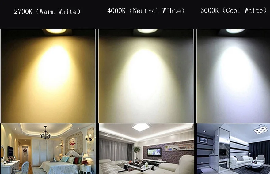  LED 