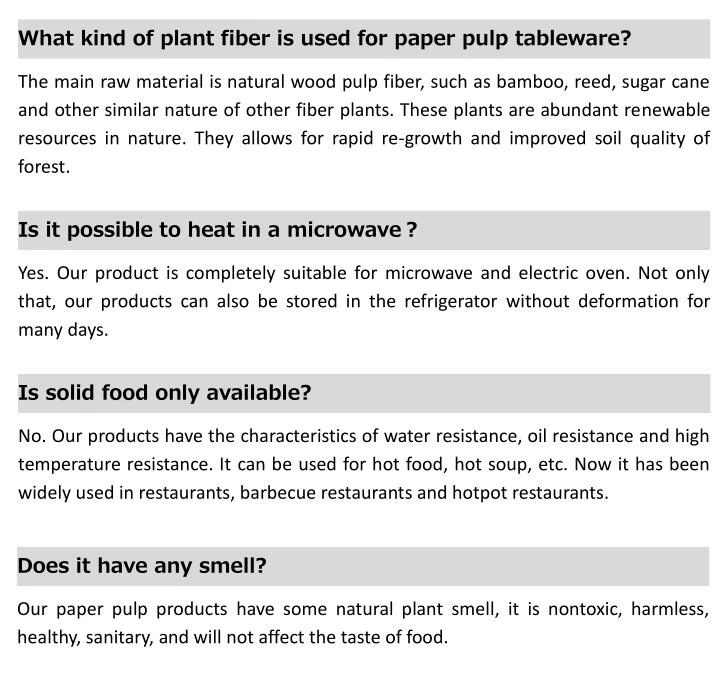 biodegradable lunch box