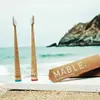Natural Wooden Brush Toothbrush with Bamboo Case 100% Biodegradable ECO Toothbrush Kit