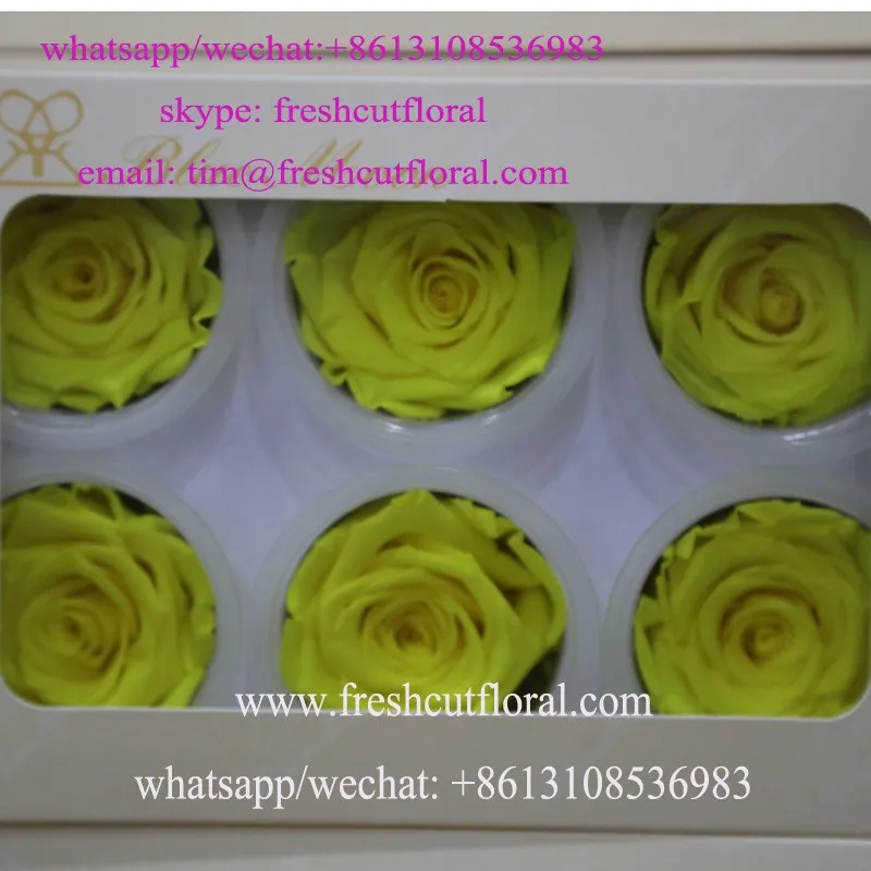 Spectacular Real Rose In Water Globe For Home Decoration Buy