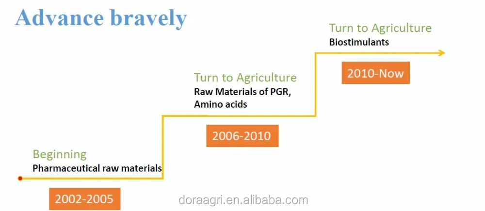 company information.jpg