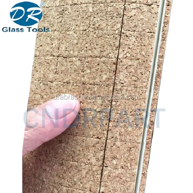 glass protector