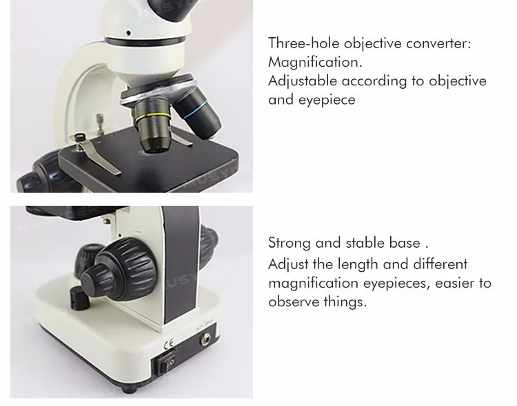 Artificial Insemination In Pig And Sperm Observation For Biological