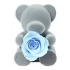 Hot Selling Eternal Rose Station Bear Hold preserved Rose for Birthday Gifts