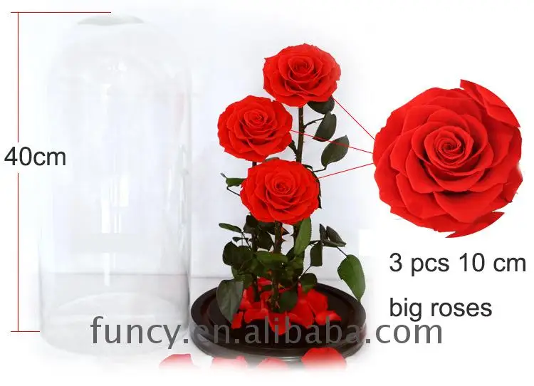 الورود الحقيقية آخر 3 سنوات هدية فاخرة زهور الورد المحفوظة في الزجاج Buy أزهار محفوظة بالزجاج أزهار محفوظة بالزجاج زهور الورد المحفوظة بالزجاج Product On Alibaba Com